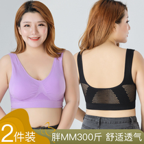 Large number sports underwear women shock - proof running gathered fat mm 200 pounds of milk - free steel - free circle