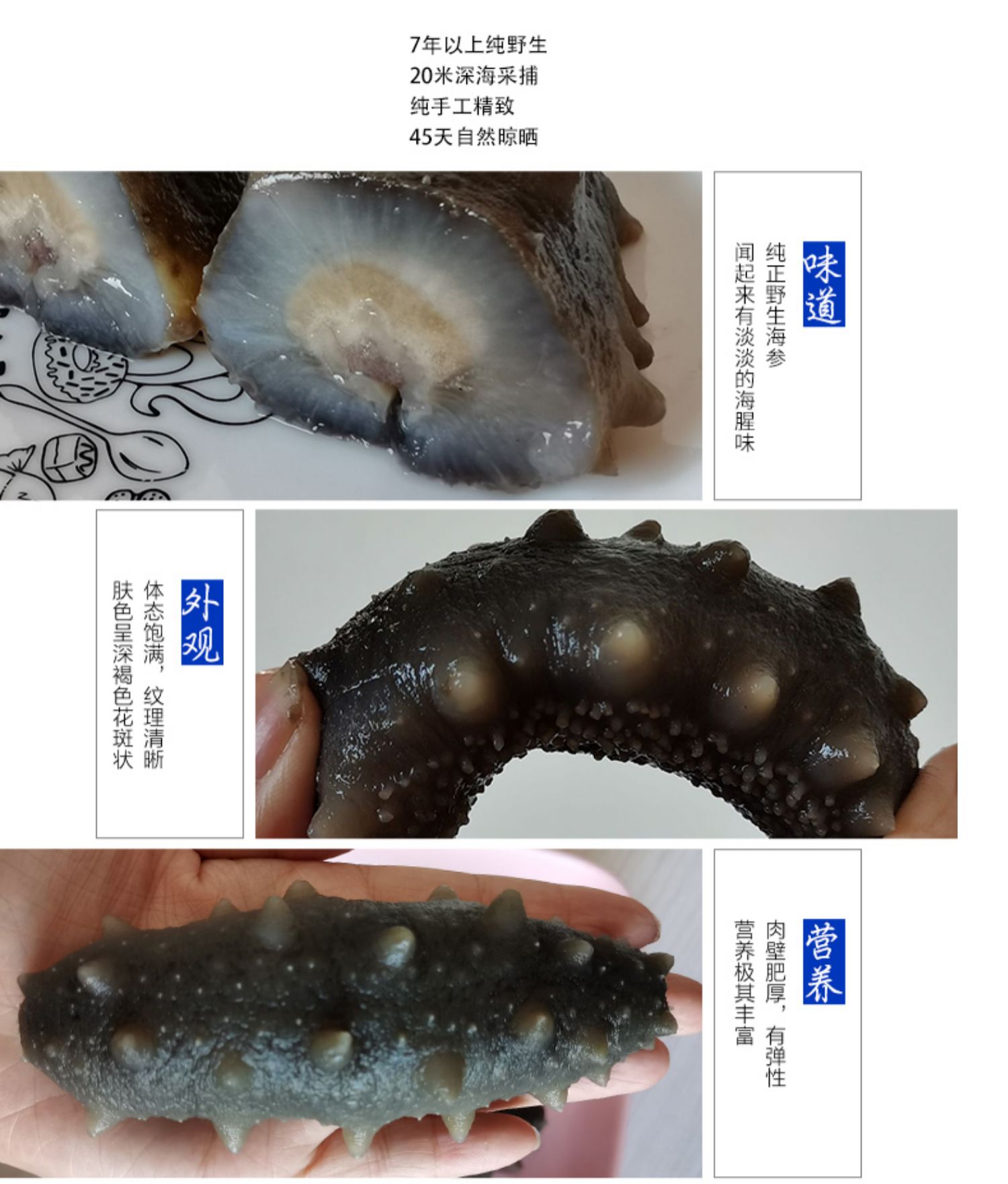 大连海参海生即食海参500g