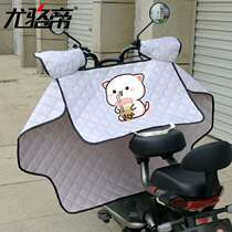 Electric vehicle windshield is summer and summer battery sunshade sunscreen windproof waterproof rainproof spring and autumn seasons universal