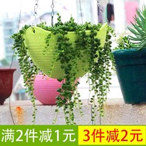 Hanging hanging pp resin plastic flower pot hanging basin hanging basin hanging land flower pot colorful green rotted plant hanging small flower pot