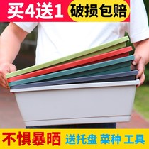 Horrent Basin Rectangular type Vegetable Basin Family Balcony Seed vegetable Divine Instrumental Planting Box Special Big growth Vegetable Planting Basin