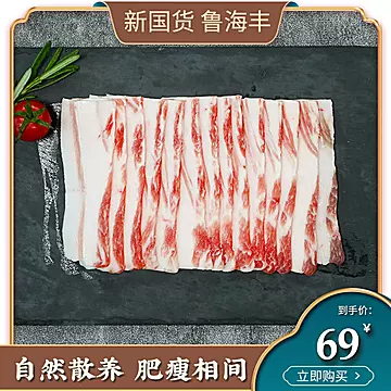 【鲁海丰】五花肉烤肉切片食材250g[5元优惠券]-寻折猪