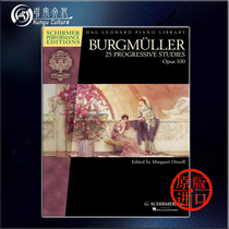 Bugmuller 25 Advanced Etude Op100 Piano Solo USA Hilmer Original Score Book BURGMULLER 25 PROGRESSI