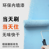 Paint White Wall Lacquered Interior Self-Brushed Odorless No Formaldehyde Environmentally Friendly Paint Home Interior Wall Design Toning in Brushed Wall