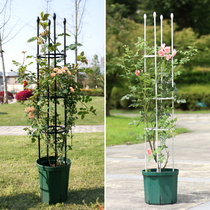 Wrought iron climbing rattan flower rack Monthly clematis outdoor flower bracket balcony green plant pillar Indoor fragrant rattan support rod