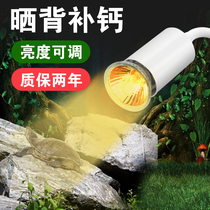 Turtle sun back light heating calcium sterilization insulation sun light uva UVB climbing pet tortoise three-in-one full general light