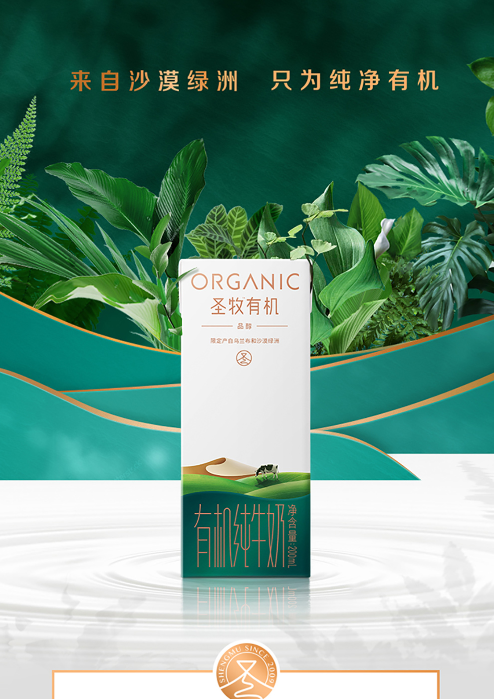 圣牧品醇有机纯牛奶200ml12盒中国欧盟双有机认证