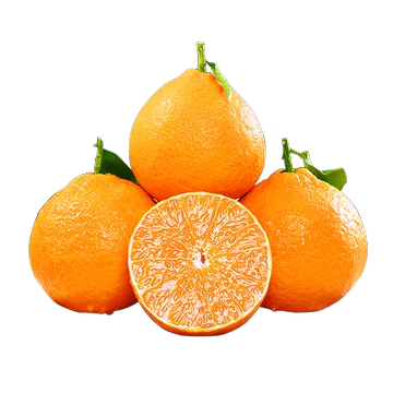 夕墨琛四川当季新鲜柑橘橙子5斤[3元优惠券]-寻折猪