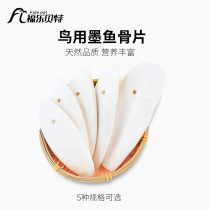 Cuttlefish bone tiger skin peony parrot molars calcium supplement breeding bird supplies utensils sea cuttlefish turtle squirrel