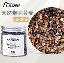 Bird grain buckwheat with shell buckwheat hymns Anchovy Tiger Leather Peony Parrot Bird Food Feed Hamster Guinea Pigs Natural Cereals Grain