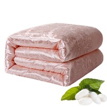 Mercury Home Spinz 100 % Sandson thickened warm winter by air conditioning by single double core