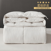 Spring Autumn Quilt Quilt Core 200x230 Home Hotel Quilt Winter Thickened Double 2 Dormitory Single Students Winter