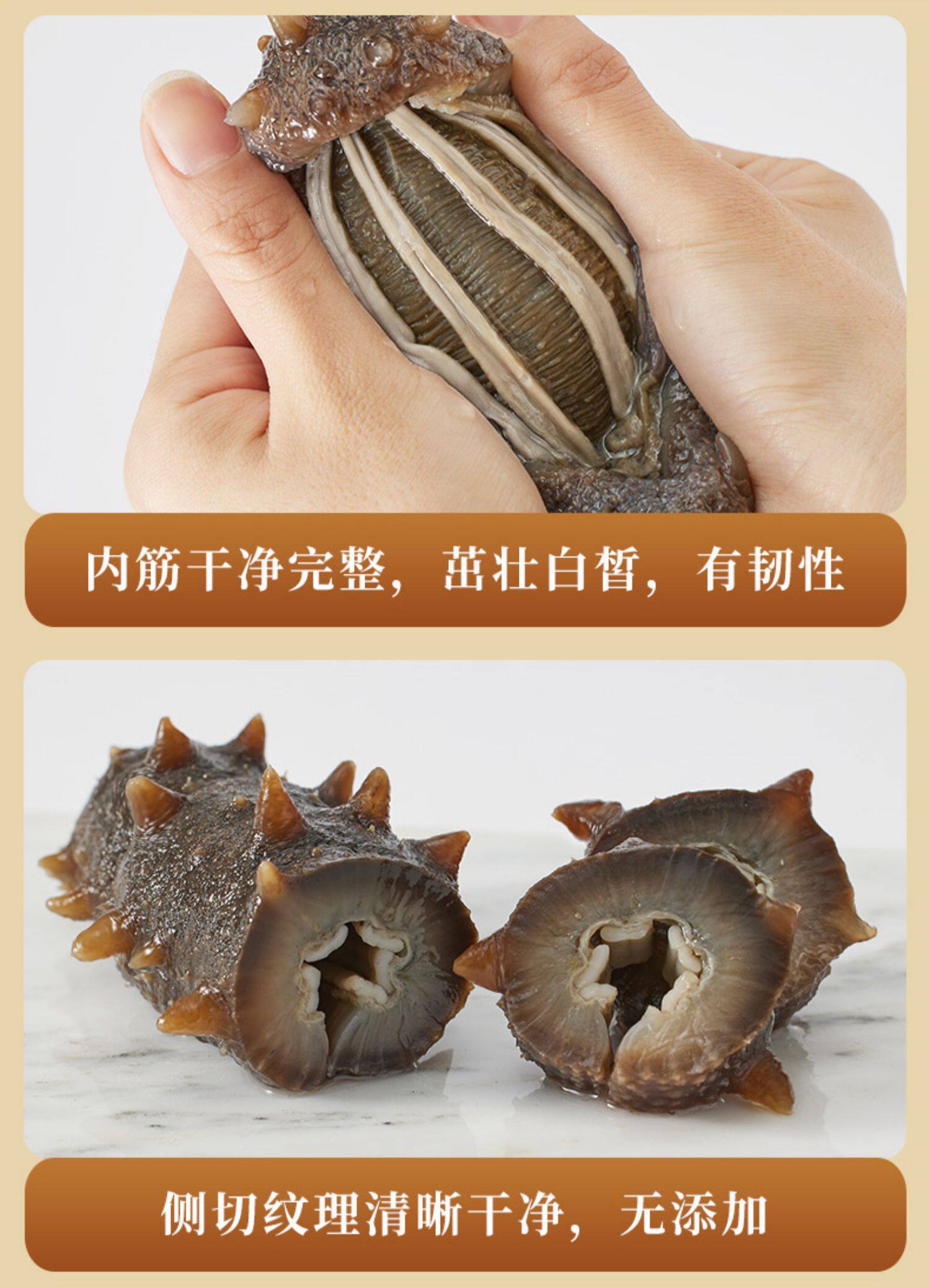 张奶奶大连即食海参500g礼盒非干货鲜活辽刺参速食冷冻水产特价