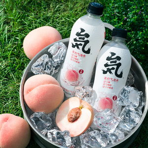 元気森林无糖0脂肪苏打气泡水0卡碳酸饮料元气森林汽水480ml*12瓶