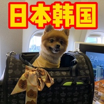 Traveling with pets to and from Japan and South Korea. Cats and dogs can be checked in the cabin and can be checked in. International document procedures