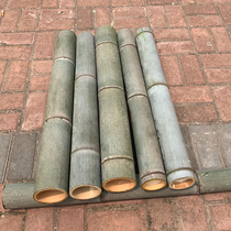 Now cut fresh bamboo bamboo cup bowl natural raw material bamboo custom diy bamboo rice steamed tube moso bamboo products