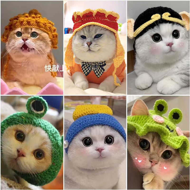 Original Artisanal Maid Cat Horn Flowers Sun Hat Pet Kitty Cute Headgear British Short Hat Changing Hat to Fat Young-Taobao