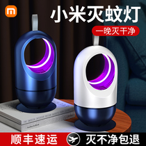 (Day Cat Preferred) 2022 New mosquito-borne mosquito Lanterns Indoor Muted Home Lute Mosquito Repellent for Children Black tech Dormitory Electronic Suction Catch remove Anti-killing mosquitoes ultrasound