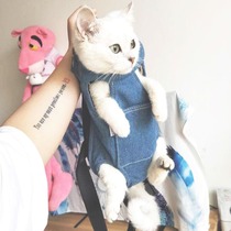 Cat Bag Double Shoulder Chest Front Bag Kitty Out Portable Bag Pet Dog Backpack Kokie Teddy Bomy Travel Back Cat Bag