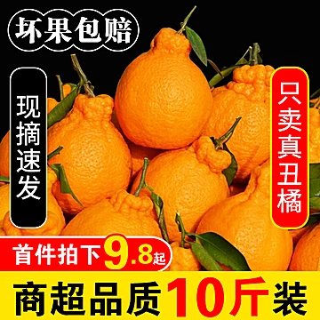 【拍70-80中大果5斤18.8】丑橘整箱粑粑桔[10元优惠券]-寻折猪