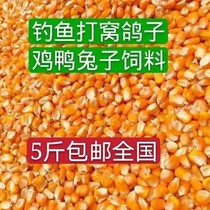 Corn grain feeding chicken feed feeding duck goose pigeon fishing nestling farmhouse self-produced bulk large grain 5kg of dry corn