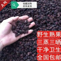 Fanzi Fruit Fresh Myrtle Mountain Minzi Gangzi Gangzi Spickling Wine Material Dry Fruit Shanzi Edible