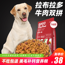 Labrador dog puppy dedicated adult dogs eat 10 pounds a Labrador retriever Beauty Hair calcium la bu la duo