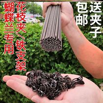 Flower pole Flower stand Flower stand Seed flower Green plant Floral branch Climbing plant fixing clip bracket rod vine Climbing rattan