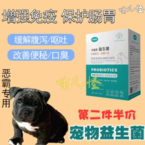 Bully Exclusive Probiotic Powder Puppies Conditioning Gut Slices Small Dogs Eats Nutraceutical Pet Supplements Into Dogs