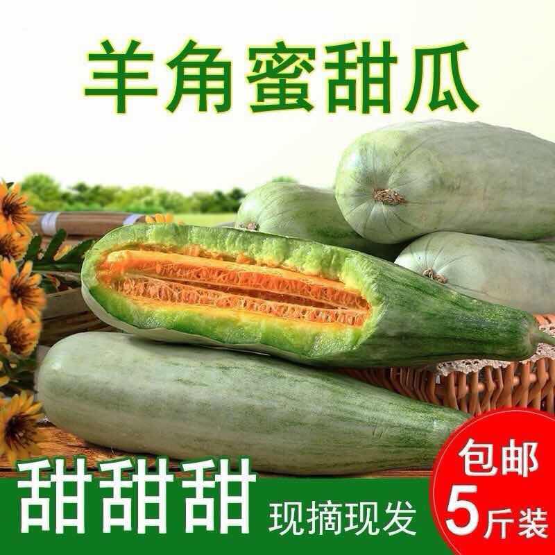 如貢 新鮮羊角蜜甜瓜5斤