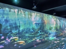 3D Floor wall interactive program Dynamic projection fusion equipment Exhibition hall Exhibition hall Multi-channel interactive projection software