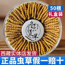 Cordyceps sinensis 5 roots 1 gram 50 roots Cordyceps 50 grams dry goods Cordyceps flagship store 10 grams gift box box