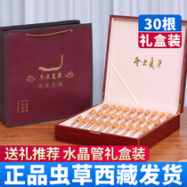 (Send gift box) Cordyceps sinensis flagship store Cordyceps dry goods 30 Crystal tubes to give gifts