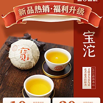 宝和祥官方新品宝沱茶云南普洱茶100g[10元优惠券]-寻折猪