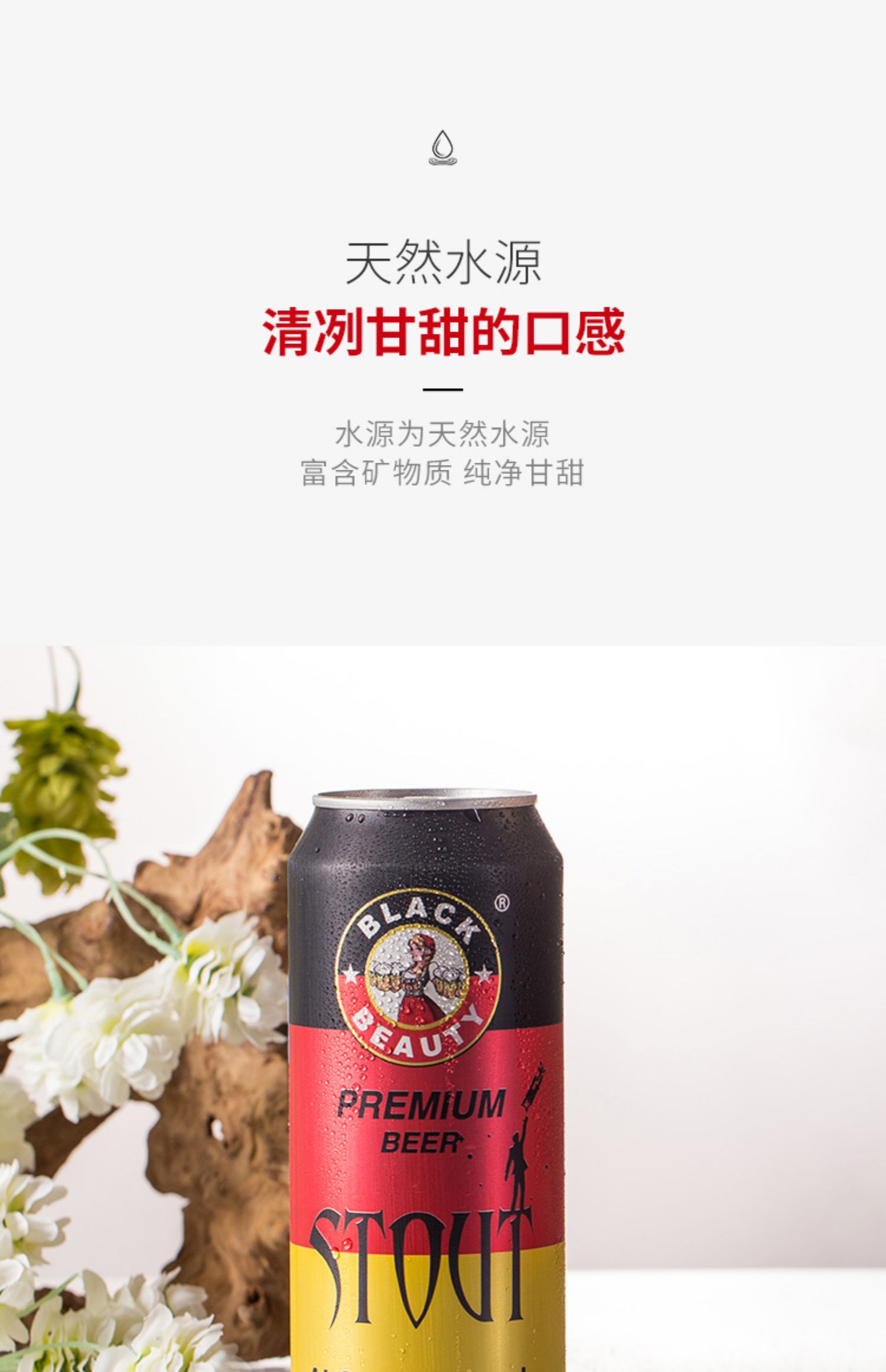 【黑美人】德国精酿黑啤酒500ml*6罐