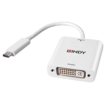 Germany LINDY USB 3 1 Type C to DVI HD adapter adapter adapter