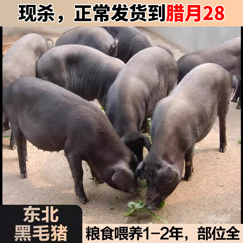 Farmhouse loose with black pork 5 catties fresh now kill native pig's front leg rear leg five flowers and pork ribs Pig Essence Plum-Taobao