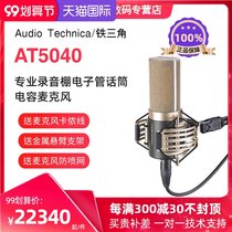 Audio-Technica Iron Triangle AT5040 capacitor wheat professional microphone studio recording human voice microphone