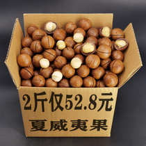 Macadamia nuts 500g bulk cream flavor original dried fruit kernels Summer fruit 5 kg whole box 5 kg snack combination nuts
