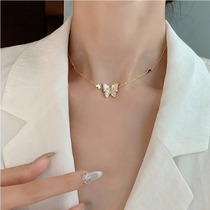 Korean butterfly necklace female light luxury niche design sense sterling silver choker does not fade pendant exquisite cold wind
