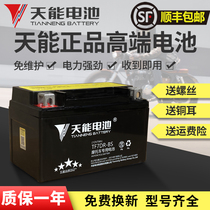 Tien Neng motorcycle battery 12V universal maintenance-free 7A9A5A125 scooter curved beam straddle riding battery