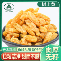 Guli Bago Xinjiang Turpan tree yellow raisins seedless yellow raisins dried large granular snacks