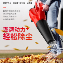 Blower blowing leaves hair dryer high-power ash cleaning soot blower industrial electric dust remover 220V powerful