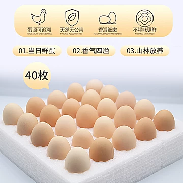 土鸡蛋农家散养新鲜初生蛋40枚鸡蛋[10元优惠券]-寻折猪