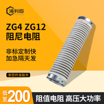 ZG4 ZG12 Electric dust resistance resistance hypertension resistance 400W600W800W1000W3000W