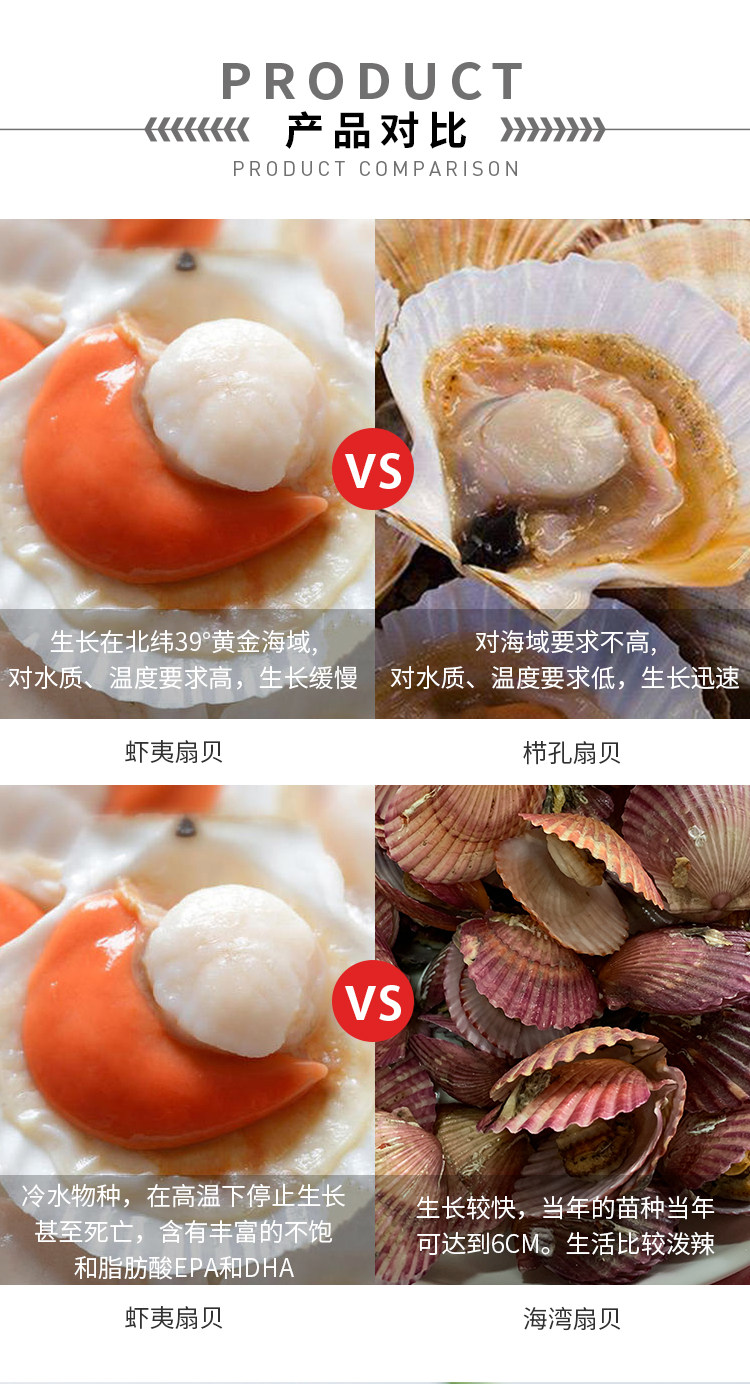 长山渔港可生食小带子瑶柱丁冻扇贝柱150gx2件