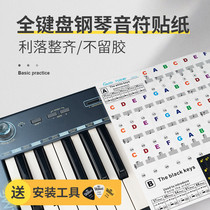88 - key piano sticker transparent 61 54 electronic keyboard keyboard tag tag tag to five - line short - line beginning