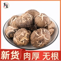 New farm sun dried premium small shiitake mushrooms 250g mushroom money mushroom pearl mushroom mushroom wild shiitake mushroom wholesale