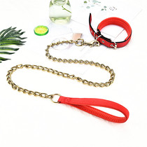 Dog chain Anti Bite dog Traction Rope Teddy Gold Wool Walking Dog Rope Small Medium Sized Large Dog Pet Item Ring
