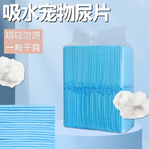 Chinchilla rabbit honey bag glider disposable absorbent urine pad deodorant thickened hamster hedgehog Dutch pig toilet partition diaper